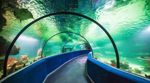 Eskişehir Büyükşehir Belediyesi ETİ Sualtı Dünyası