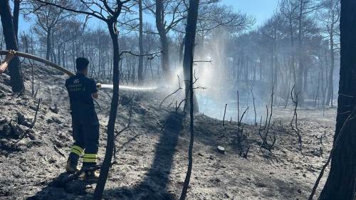 Eskişehir Büyükşehir Belediyesi’nden Çanakkale’deki yangına destek