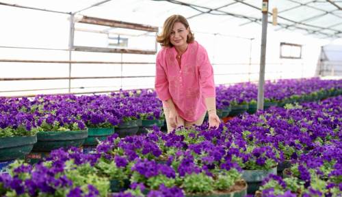 Eskişehir Büyükşehir’den 1 milyon çiçek projesi