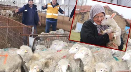 Eskişehir Büyükşehir'den bir destek daha: İşte ayrıntılar...