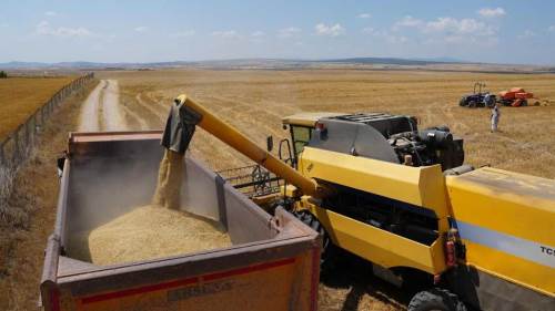 Eskişehir Büyükşehir'den çiftçilere destek: Yulaflar toplandı