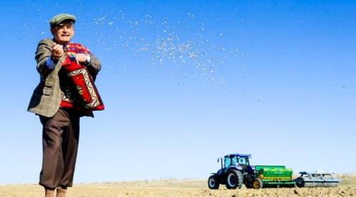 Eskişehir Büyükşehir'den çiftçilere tohum desteği: Başvurular başladı
