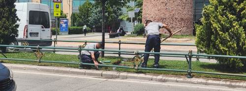 Eskişehir Büyükşehir'den peyzaj çalışması