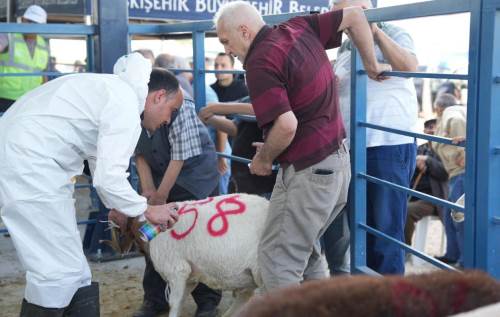 Eskişehir Büyükşehir duyurdu: Kesim hizmeti 3 gün sürecek