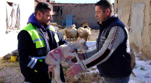 Eskişehir Büyükşehir ekipleri elleri dolu geldi!