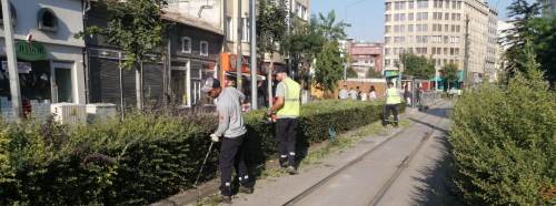Eskişehir Büyükşehir ekipleri sahada: Budama ve ilaçlama çalışmaları hız kesmiyor! 