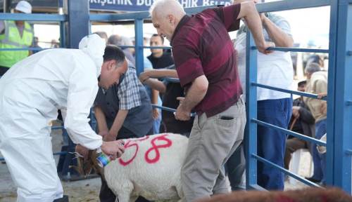 Eskişehir Büyükşehir'in kesim hizmeti tam not aldı