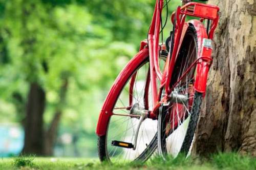 Eskişehir Büyükşehir'in önemli projesine Konya'yı örnek gösterdi!