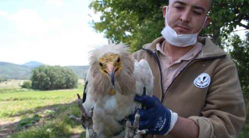 Eskişehir Büyükşehir o lafı dedirtti