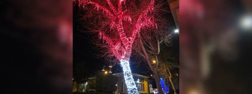 Eskişehir Büyükşehir önündeki ağaç LED ışıklarla görsel şölen sunuyor