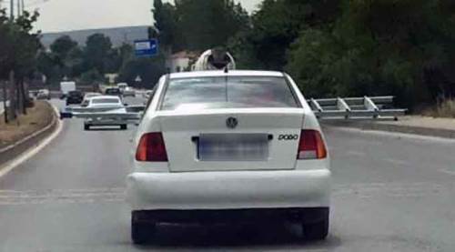 Eskişehir çevre yolunda onu gören hayrete düştü!