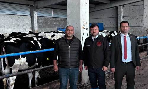 Eskişehir Damızlık Sığır Yetiştiriciler Birliği'ne önemli sertifika