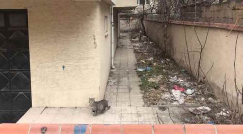 Eskişehir'de "başa çıkamıyoruz" isyanı