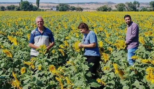 Eskişehir'de "Bitki Pasaportu Sistemi" başarıyla çalışıyor!