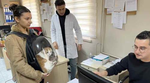 Eskişehir'de "çip" yoğunluğu yaşanıyor!