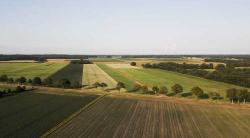 Eskişehir'de "İlk Evim" şoku: İsyan ediyorlar!