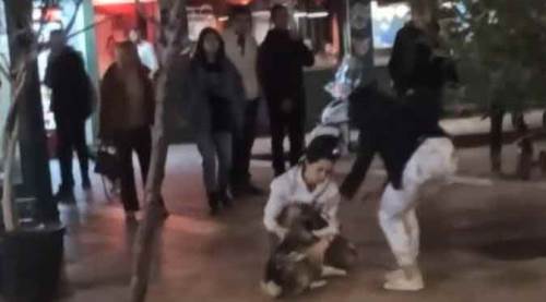 Eskişehir’de “köpek ısırdı” tartışması meydan dayağına dönüştü