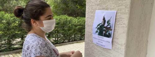 Eskişehir'de "papağan" seferberliği!