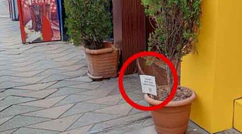 Eskişehir'de "saksıdaki not" büyük ilgi çekti!