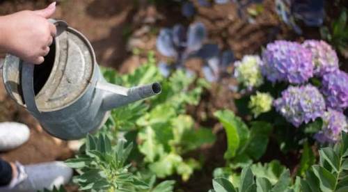 Eskişehir'de "yasa dışı hobi bahçesi" uyarısı: Uzak durun!