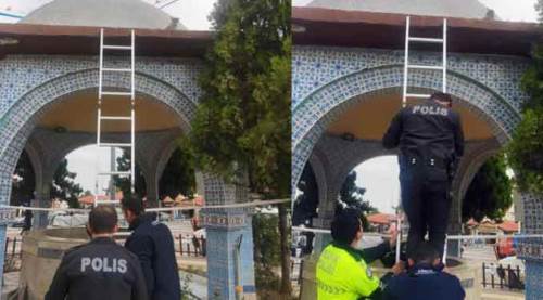 Eskişehir'de "yavru kedi" operasyonu