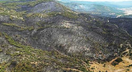 Eskişehir'de 10 kişinin şehit olduğu yangında savcılık harekete geçti