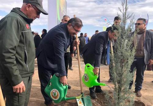 Eskişehir’de 11 Kasım’da 20 bin fidan toprakla buluştu