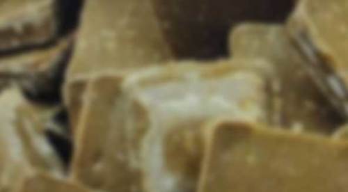 Eskişehir'de 144 bin doz aşı havadan atıldı! İşte nedeni...