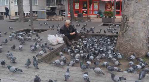Eskişehir'de 15 yıldır bıkmadan onları doyuruyor