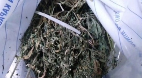Eskişehir'de 2 kg skunk ele geçirildi