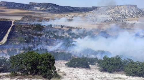 Eskişehir'de 2 saatte 3 farklı orman yangını!