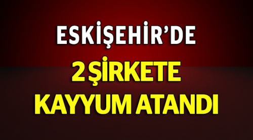 Eskişehir'de 2 şirkete kayyum atandı