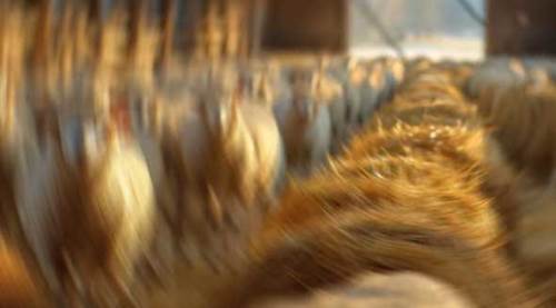 Eskişehir'de 2025 hedefi: 2.500 yeni doğum planlanıyor!