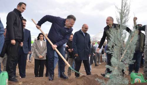 Eskişehir'de 29 bin tanesi toprakla buluşacak