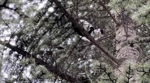 Eskişehir'de 30 saat sonra mutlu son