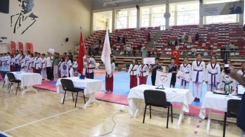 Eskişehir’de 350 sporcu tatamiye çıktı