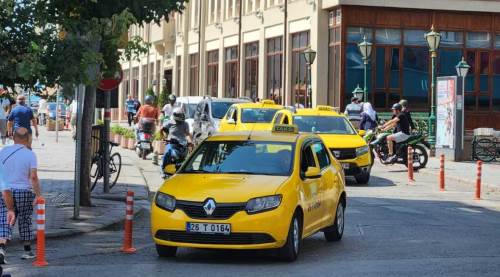 Eskişehir'de 354 bin tane oldular: Acil çözüm şart!