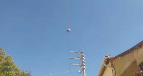 Eskişehir’de 5 yıldır elektrik telinde asılı! Ne bakan var ne gelip alan var...