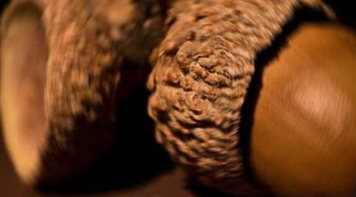 Eskişehir'de 500 lirayla raflarda yerini aldı, merak uyandırdı!