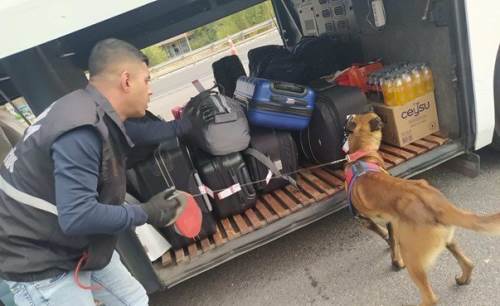 Eskişehir'de 55 şüpheli operasyonla yakalandı