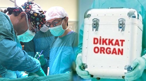 Eskişehir'de 6 ayda 11 organ nakli