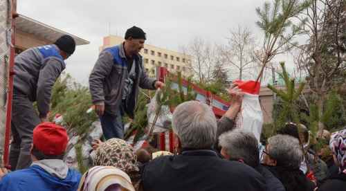 Eskişehir'de 6 bin fidan dağıtıldı