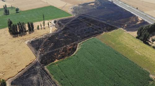 Eskişehir'de 60 dönüm arazi kül oldu: Sebebi ise şaşırttı!