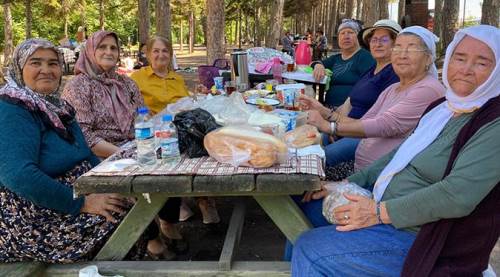 Eskişehir'de 60 yaş üstü piknikte buluştu