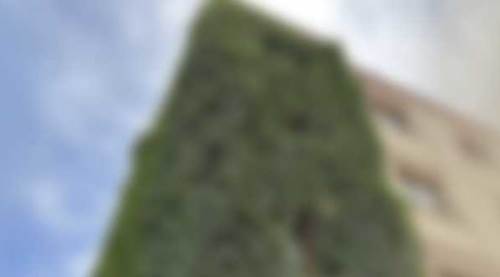 Eskişehir'de adeta yeşil bir gökdelen!