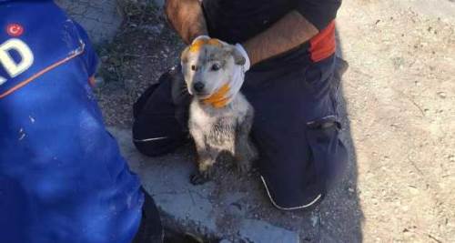 Eskişehir'de AFAD ve itfaiye ekipleri yardımına koştu!