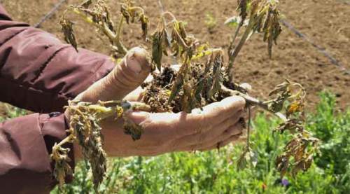 Eskişehir'de afetin bilançosu belli oldu