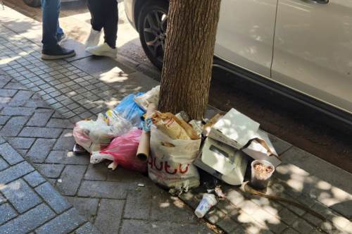 Eskişehir'de ağaç dipleri çöp kutusuna döndü