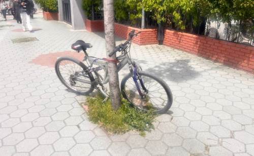 Eskişehir’de ağaç gövdesine kilitlenen bisiklet tepki çekti