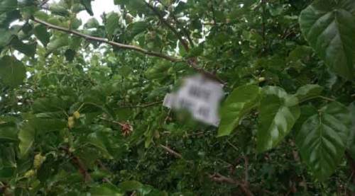 Eskişehir'de ağaca asılı bu not görenleri gülümsetiyor